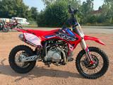 Andere APOLLO RXF 110 E - DIRT BIKE VON 81 BIS 125 CCM