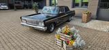 Ford Fairlane 500 - Ford Fairlane in Stuttgart