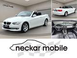 BMW 320i Cabrio Leder Xenon PDC Sitzheiz Sportsitz - BMW 3er Reihe: Weiß, Cabrio