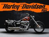 Harley-Davidson FXDWG DYNA WIDE GLIDE - Penzl - Gepäcktaschen