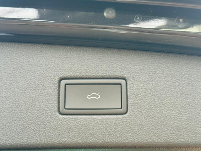 Volkswagen Tiguan Elegance TDI DSG 4Motion IQ.LIGHT NAVI RF, миниатюра 15