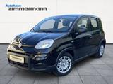 Fiat Panda 1.0 Base Klima PDC Allwetter - Fiat Panda aus 2025