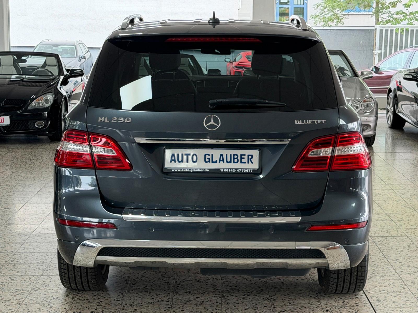 Mercedes-Benz ML 250 CDI BlueTec/4Matic/AMG/Xenon/Navi/1.Hand