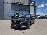 Mazda CX-30 Selection Allrad Totwinkelassi. 360° - Mazda CX-30 Gebrauchtwagen