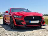 Ford Shelby 5.0 l, V8 Supersnack - Ford Mustang Gebrauchtwagen in München
