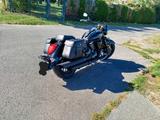 Suzuki Intruder C800 Black Edition  - SUZUKI INTRUDER C 800