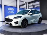 Ford Kuga 2.5 Duratec FHEV 4x4 ST-LINE - Ford Kuga FHEV Gebrauchtwagen