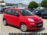 Fiat Panda Easy 1.2/KLIMA/ZAHNRIEMEN NEU/DAB - Fiat Panda in Freiburg