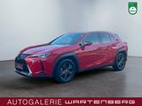 Lexus UX 250h FWD Launch Edition/LED/CAM/NAVI/SHZ/TEMP - Lexus UX aus 2019