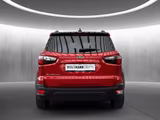 Ford EcoSport Active Kamera Navi B & O Winterpaket - Ford EcoSport Active mit Benzin-Antrieb