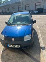Fiat Panda - Fiat Panda in Hagen