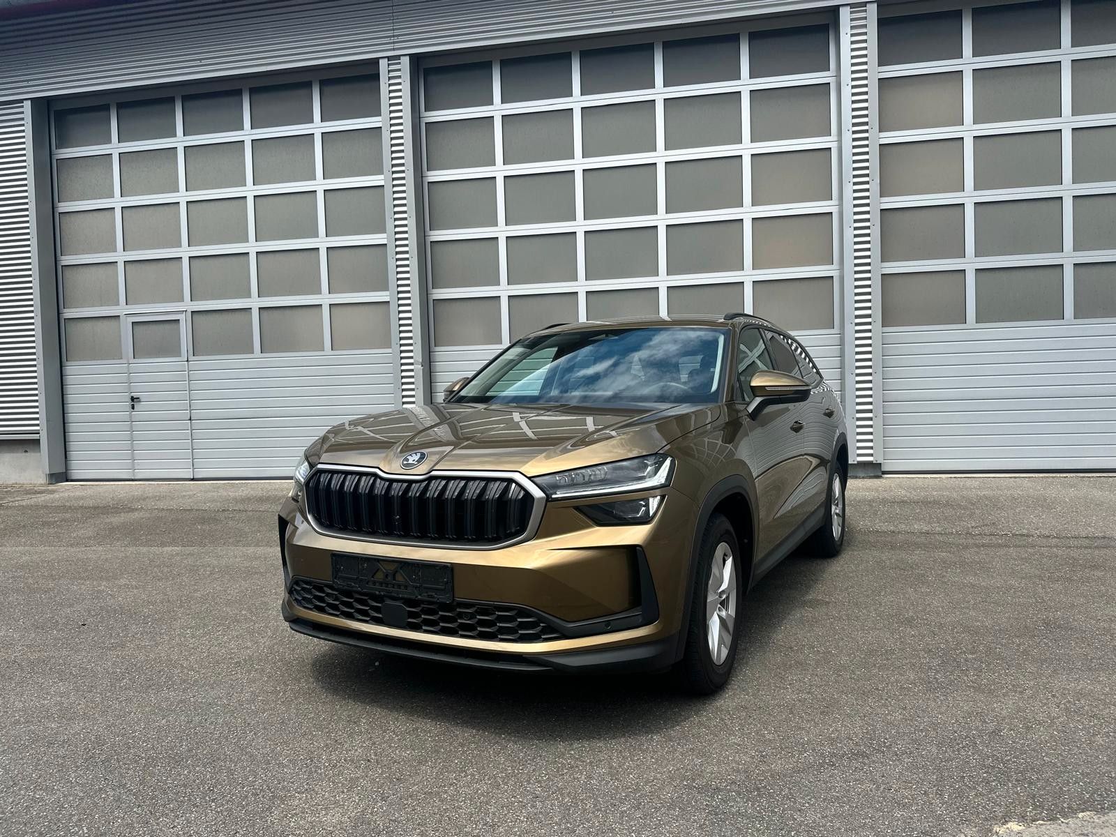 Skoda Kodiaq Selection, mHEV, 5J. Garantie
