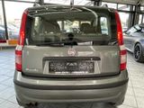 Fiat Panda 1.2 8V Dynamic, Klima, Bluetooth, HU neu ! - Fiat Panda aus 2010