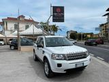 Land Rover Freelander 2.2 eD4 2WD S.W. SE - weiße Land Rover Freelander