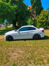 BMW 220d Coupé Sport Line Sport Line - gebrauchte BMW 220 aus dem Jahr 2014