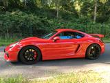 Porsche Cayman GT4 Clubsport mit Sportchronopaket - Porsche Cayman in Gelsenkirchen