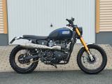 Triumph Scrambler - TRIUMPH SCRAMBLER