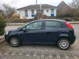 Fiat Auto Fiat Punto sehr gepflegt - Fiat Punto in Wiesbaden