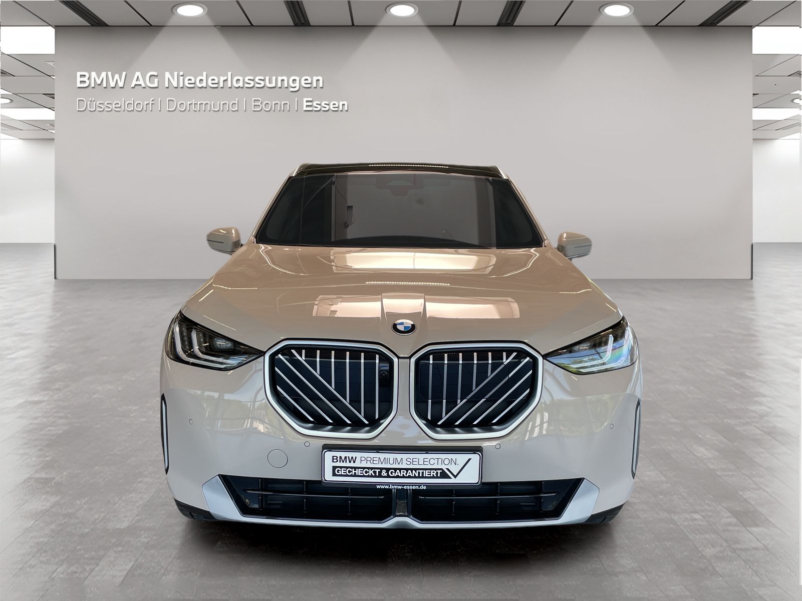 BMW X3 - Bild 8