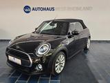 MINI ONE Cabrio 1,5 Ltr.-75 kW*LED*SH*LEDER*PDC*TEMP* - MINI MINI: 1.7
