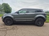 Land Rover Range Rover Evoque Pure Technik - Diesel Gebrauchtwagen in Reutlingen