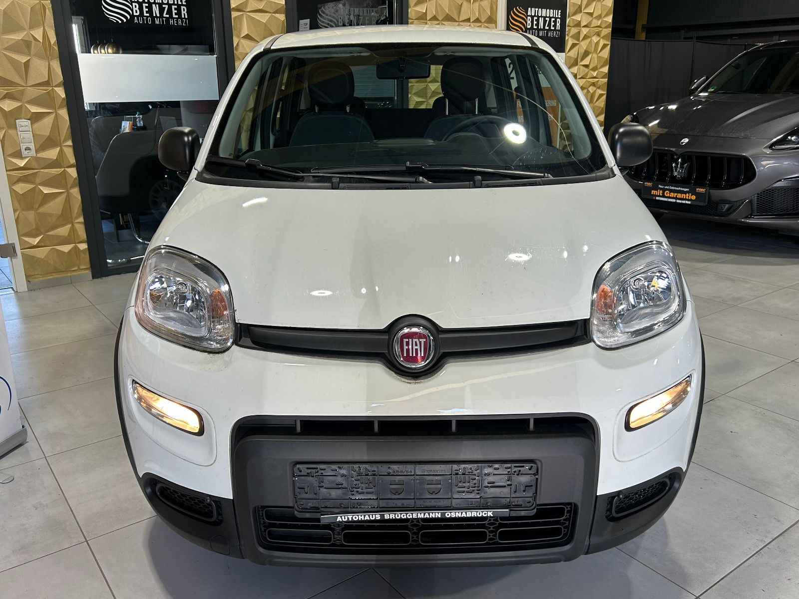 Fahrzeugabbildung Fiat Panda Base/KLIMA/4-TÜRER/DAB/ALLWETTER