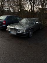 Jaguar Verkaufe//Tausche Jaguar XJ40 - Jaguar XJ40 von privat