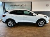 Ford Kuga 2.5 FHEV Titanium FWD +Navi+Kamera+ACC+360° - Ford Kuga in Mönchengladbach