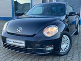 Volkswagen Beetle Lim. Cup*PANO*PDC*KLIMAAUT*SHZ*MFL*TEMPO* - Volkswagen Beetle: Cup