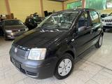 Fiat Panda 1.1 *TÜV NEU*TOP* - Fiat Panda in Essen