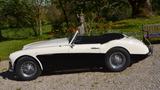 Austin Healey MK1 - Austin mit Benzin-Antrieb: Cabrio