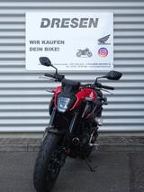 Honda CB 500 Hornet | ABS | 1.Hand | 2025 | - HONDA CB 500