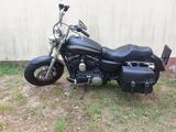 Harley-Davidson 1200 Custom Edition - HARLEY-DAVIDSON 1200 CUSTOM