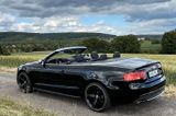Audi S5 quattro Cabrio Voll, Scheckheft, TÜV neu - Audi aus 2010: Cabrio