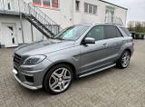 Mercedes-Benz Mercedes Benz ML 500 63 AMG - : Mercedes Ml