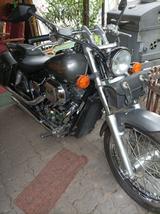 Honda Black Widow - Offers