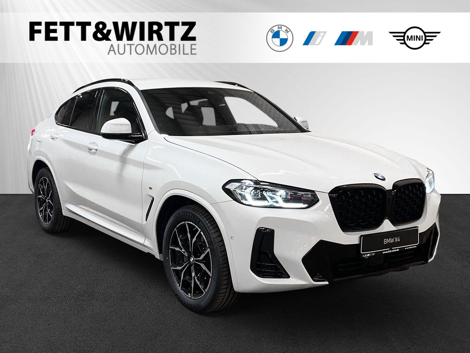 BMW X4 xDrive20i M Sport|Stop&Go|HiFi|DrivingAssist.