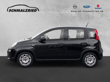Bild 2 Fiat Panda Base 1.0 Mild Hybrid DAB Klima teilb.Rücks