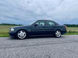 Mercedes-Benz C 36 AMG C 36 AMG - Mercedes-Benz C 36 AMG von privat