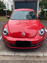 Volkswagen VW Beetle 1,4 Turbo  160 PS Leder , Vollau... - Volkswagen Beetle: Turbo