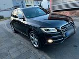 Audi SQ5 3.0TDI - Audi SQ5 in Ludwigshafen