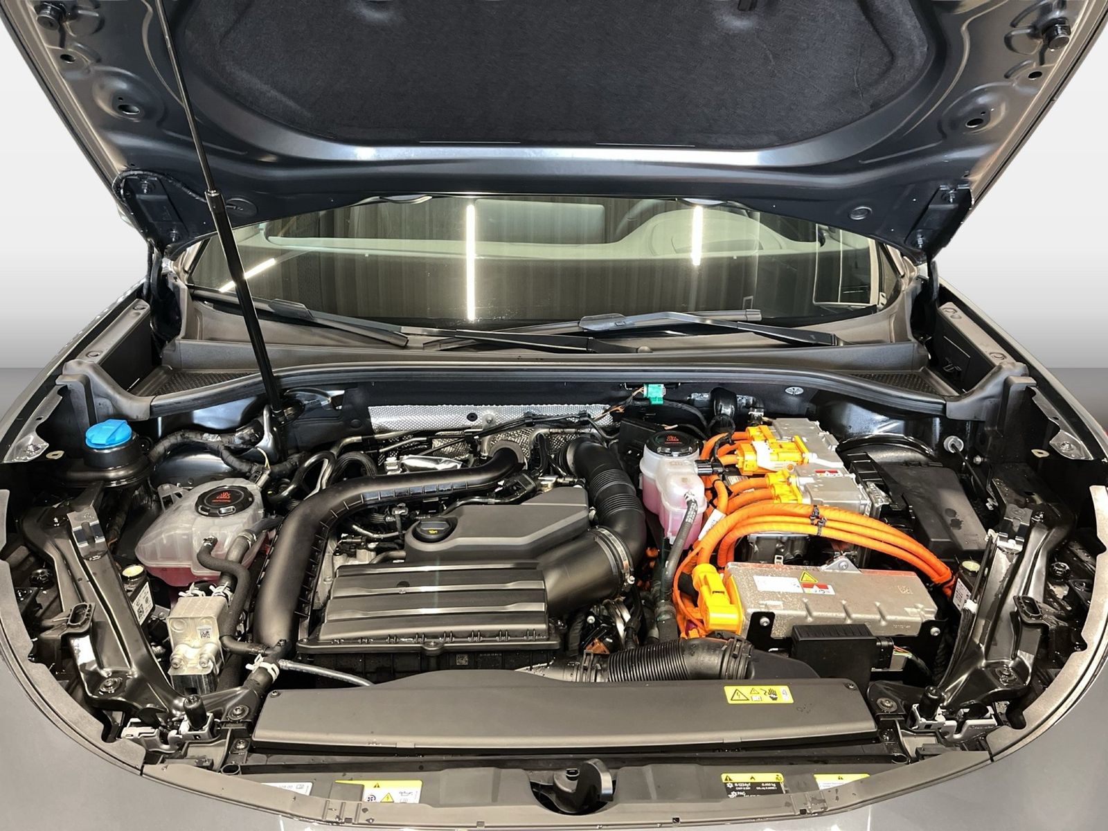 Cupra Terramar - Bild 19