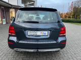 Mercedes-Benz GLK 220 CDI BlueEfficiency/Navi/AHK/Volleder/SHZ - gebrauchte Mercedes-Benz GLK 220 aus dem Jahr 2013