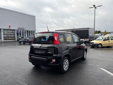 Bild 5 Fiat Panda Base 1.0 Mild Hybrid DAB Klima teilb.Rücks