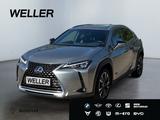 Lexus UX 250h Style Edition *Bi-LED*ACC*CAM*SHZ*CarPla - Lexus UX SUV