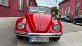 Volkswagen Käfer 1500 Cabrio | DEKRA 25k € | TÜV 05/28 - Volkswagen Käfer: Rot