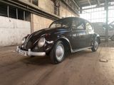 Volkswagen VW Brezel Käfer BJ 1952 1,2 L - Offers matching your search criteria