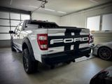 Ford F 150/5.0/V8/4X4/Raptor - Ford F 150: 5.0