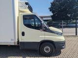 Iveco Daily mit Kühlkoffer - Iveco aus 2021