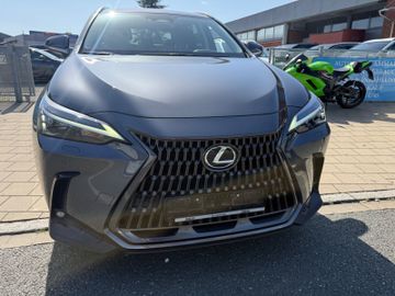 Lexus NX 450h - 6